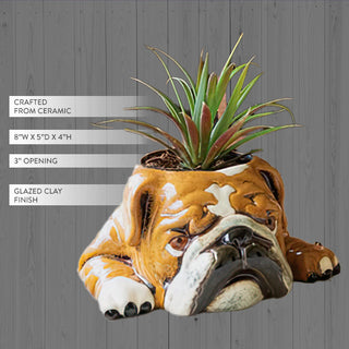 English Bulldog Ceramic Planter