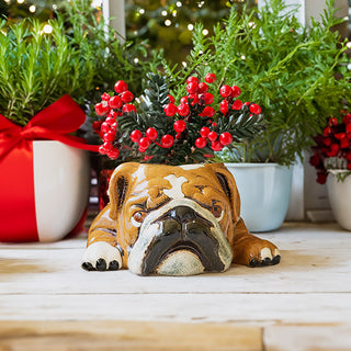 English Bulldog Ceramic Planter