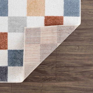 Multi-color Grid Polyester Area Rug