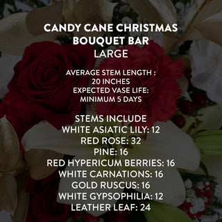 Candy Cane Christmas Bouquet Bar | Build Your Own Bouquet