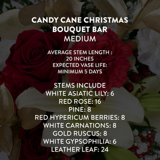 Candy Cane Christmas Bouquet Bar | Build Your Own Bouquet