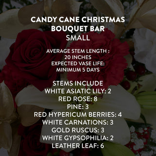 Candy Cane Christmas Bouquet Bar | Build Your Own Bouquet