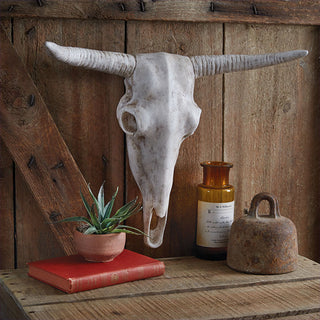 Longhorn Skull Decor