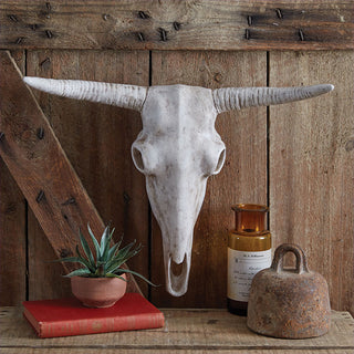 Longhorn Skull Decor