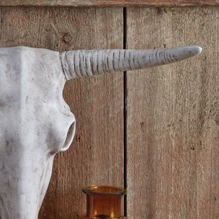 Longhorn Skull Decor