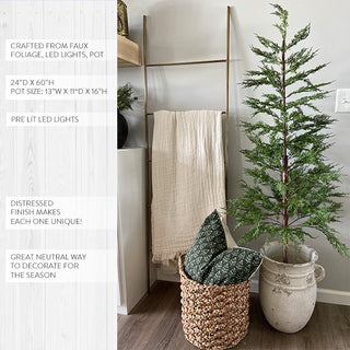 X-Large Wild Pine Pre-Lit Christmas Tree with Removable Pot