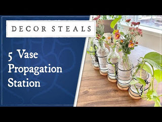 5 Vase Propagation Station