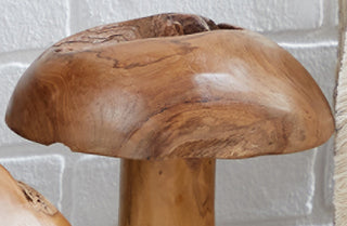 Organic Wooden Mushrooms, Set of 3