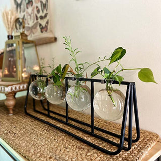 Clear Glass Bud Vases with Metal Rack