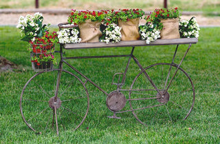 HUGE Rustic Bicycle Planter