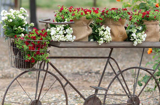 HUGE Rustic Bicycle Planter