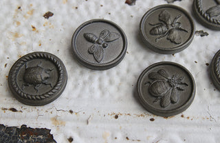 Bug Magnets  Set of 6