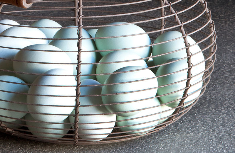 Rustic Wire Egg Basket - Decor Steals