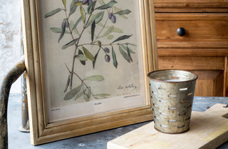 Framed Botanical Olive Print