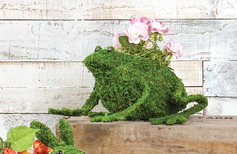 RCS Gifts Planter Frog Moss at
