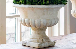 Potted Boxwood Topiary Ball