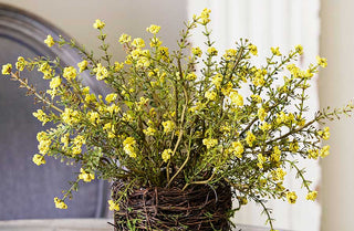 Floral Plant with Twig Basket